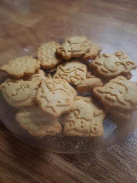 animal biscuits