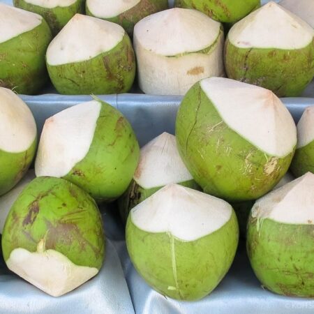 coconut water drmartins