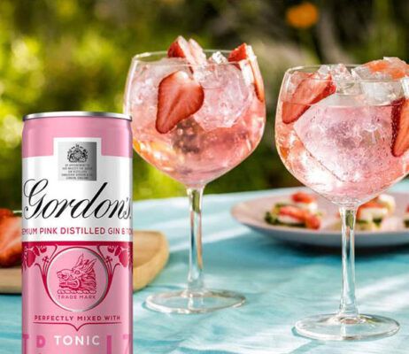 gordons premium pink destilled gin tonic