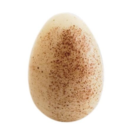 simon coll white chocolate egg