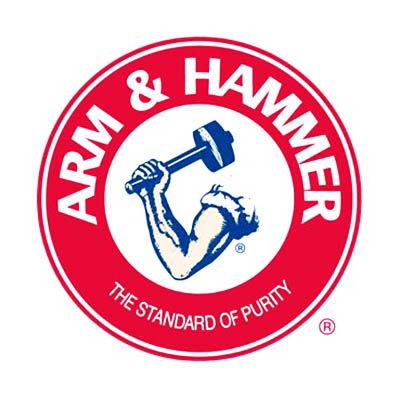 arm hammer logo