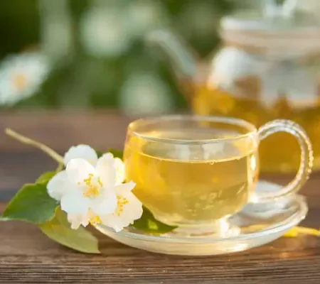 twinings jasmine green tea 2