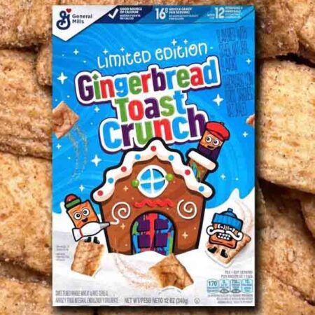 General Mills Gingerbread Toast Crunch Cereal Winter Edition 340gr 1