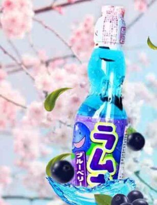Hatakosen Ramune Soda Blueberry Flavour 1