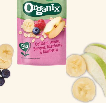 Organix Oatmeal Apple Banana Raspberry Blueberry 100gr 1